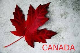 Canada introduces new visa process for conditional admissions.....